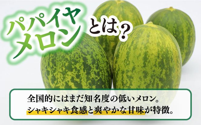 【2025年4月〜発送】【いくらでも食べたくなるさっぱりとした甘さ！】南島原名産 パパイヤメロン 約5kg 4玉〜7玉 / 南島原市 / 贅沢宝庫[SDZ034]