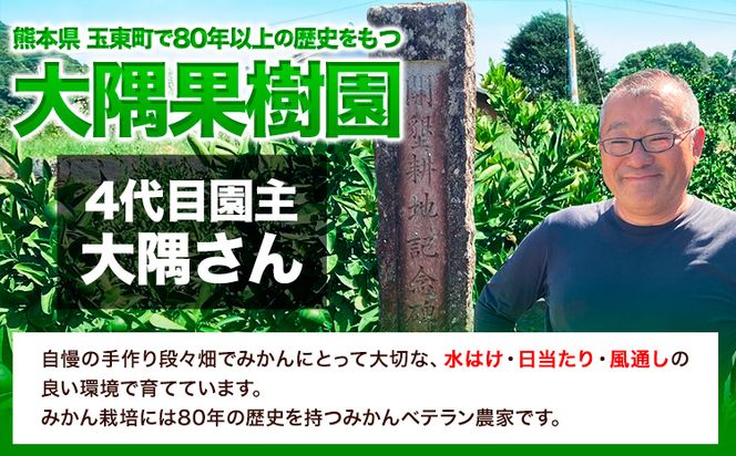 『大隅果樹園』のご家庭用みかん 約5kg(2S~Lサイズ) 大隅果樹園《10月下旬-12月下旬頃出荷》熊本県 玉名郡 玉東町 みかん 柑橘 フルーツ 果物 ご家庭用 訳あり---sg_wosumikan_p1012_24_7500_5kg---