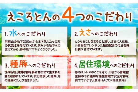 熊本県産 ブランド豚 えころとん使用 とにかく美味しいギフトセット 合計800g以上 一般社団法人すまいる ワークプレイス絆 《90日以内に出荷予定(土日祝除く)》 味噌豚 とんかつ コロッケ えころとん ギフト 豚肉---so_fkizuna1_90d_22_13500_800g---