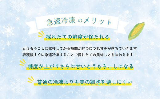＜ささや農園産 極★凍結とうもろこし 12本＞北海道 道産 国産 乙部町 とうもろこし とうきび 冷凍 急速冷凍 鮮度そのまま 甘さ 糖度 個包装 ゴールドラッシュ 恵味ゴールド