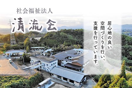 「氷川学園」のさをりランチョンマット2枚セット 熊本県氷川町産《60日以内に出荷予定(土日祝除く)》---sh_hikawamat_60d_21_16000_2p---