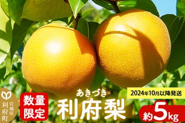 数量限定 利府梨（あきづき）約5kg（10玉前後）|06_tne-010501