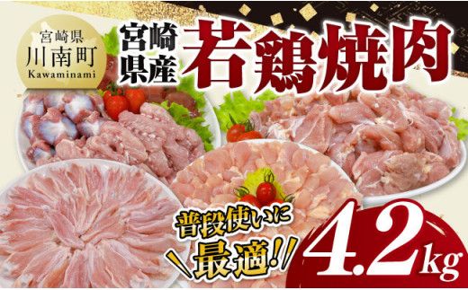 宮崎県産 若鶏 焼肉 4.2kg 【 もも 砂肝 小肉 チキンリブ 肩肉 鶏肉 とり肉 真空パック 】[D11618]