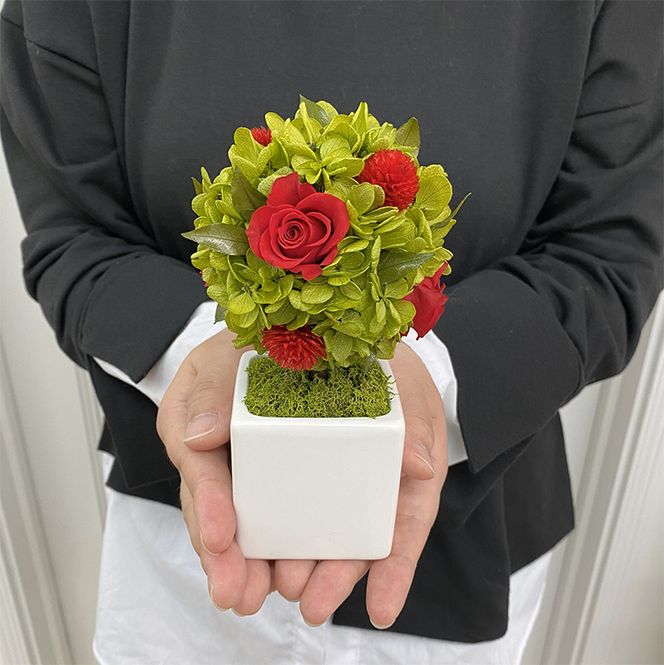 AJ184-1 プリザーブドフラワー【プティシュシュ/レッド】春日部市 シュガーパイン