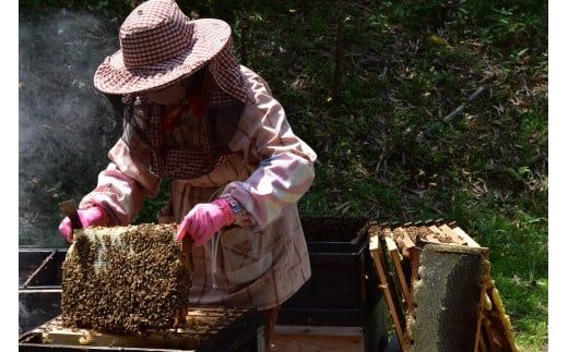 E030 純粋蜂蜜とんがり