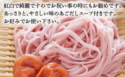 手延べ 梅 そうめん 200g あごだし スープ 付 南島原市 / のうち製麺 [SAF013]