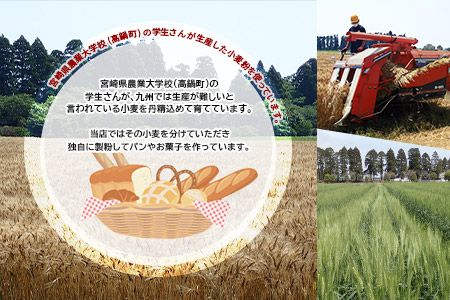 ＜農大粉クッキーの詰め合わせ3種＞翌月末迄に順次出荷【c444_sk_x2】