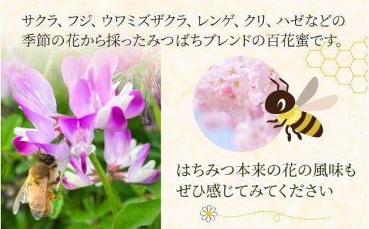 【先行予約】生はちみつと蜜蝋キャンドルのセット [A-033001] ※25年6月以降順次発送予定