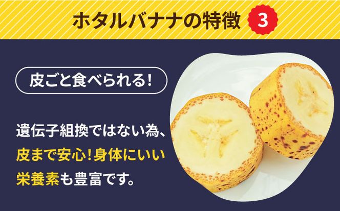 【とても希少な国産バナナをあなたへ！】hotaru バナナ 5本[SFA002]