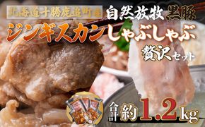 鹿追産 自然放牧黒豚しゃぶしゃぶ＆豚ジンギスカンの贅沢セット  SKN006