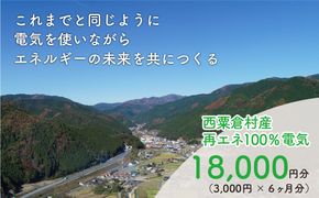 電気料金 （3,000円✕6ヶ月分） 百森でんき CO2フリー 地域電力 お礼の電気 脱炭素 ゼロカーボン 岡山県 西粟倉村 【まずは寄付のお申し込みを！】 e-vv-A02D