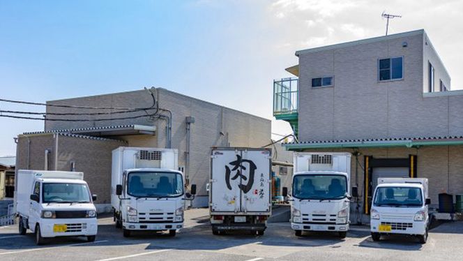 【 定期便 】 (6か月連続でお届け)『 常陸牛 』 ヒレステーキ 200g × 3枚 (茨城県共通返礼品) 茨城県産 牛ヒレ肉 牛肉 ヒレ 牛ヒレ ステーキ 常陸牛 [BX100-NT]