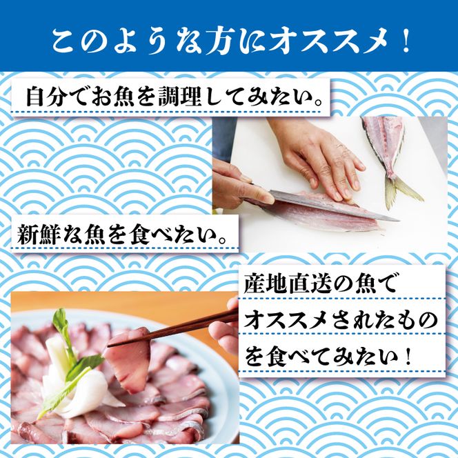 鮮魚 旬 獲れたて セット 4～7匹 鮮魚便 海鮮 魚貝類 魚介類 鮮魚 旬 獲れたて セット 詰め合わせ さかな おさかな 魚 海の幸 福袋 FISH ごはん 夕飯 おかず 今が旬 刺身 刺し身 おつまみ 晩酌 米 丼 三陸産 岩手県 大船渡市 [mouri002]