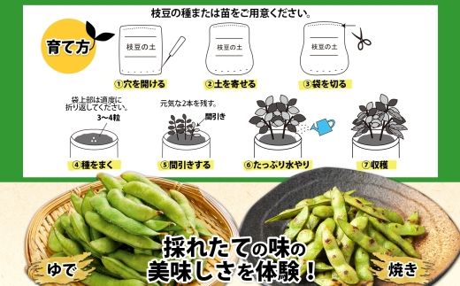 北海道 ビールにあう新鮮枝豆の土 14L 1袋 土 培養土 えだまめ 園芸 家庭菜園 プランター 袋栽培 野菜 枝豆 えだ豆 畑 土づくり 野菜作り 初心者 豆 送料無料 十勝 士幌町【F15】