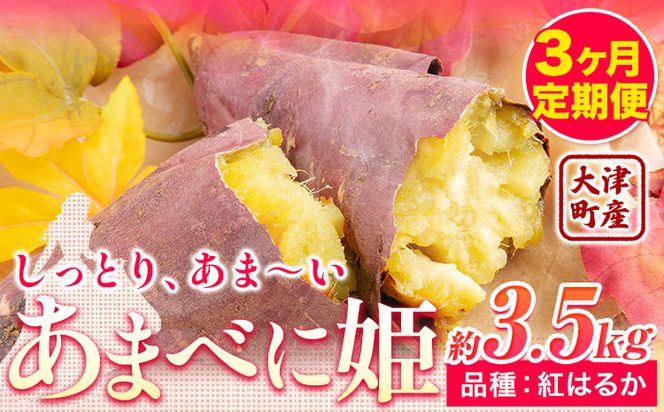 yF{Òz3 F{ ÒY ܂ׂɕP (g͂邩) 3.5kg KuXs12o׊Jnt܂   x---so_gbabh_r7_21000_3500g_dec3---