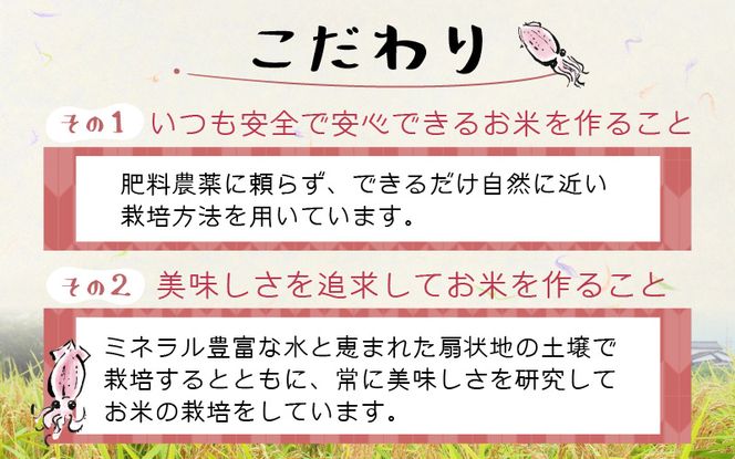 【順次発送中】【新米】ほたるいか米（新米/精米５kg）※9月以降順次発送