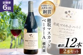 定期便 ワイン セット 赤 穂坂マスカット・ベーリーA シングル・ヴィンヤード 栽培責任者 横内栄人 750ml×2本×6回 酒 ワイン 赤ワイン/ シャトー・メルシャン 勝沼ワイナリー / 山梨県 韮崎市 [20743325]
