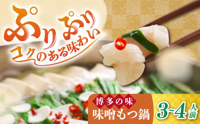 博多 味噌 もつ鍋 3〜4人前[築上町][株式会社MEAT PLUS] [ABBP002]