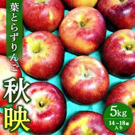 葉とらずりんご【秋映】5kg　14個～18個入り【9月20日受付終了】 ※2026年9月～発送