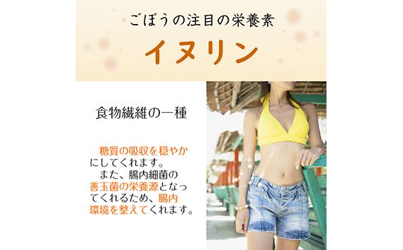 美濃山県元気ファーム　山県市産ごぼう茶120g [No.665]