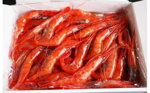 【漁師直送】北海道産 甘えび Mサイズ1kg お刺身 唐揚げ 丼 味噌汁 寿司 冷凍 天ぷら 旬 海鮮 せたな町 ふるさと納税