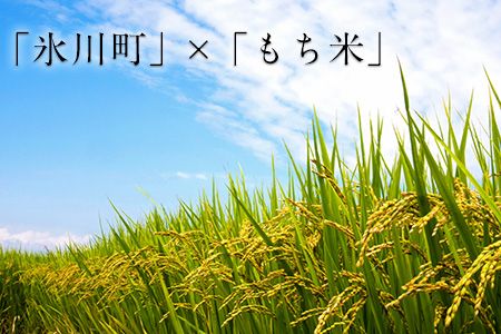 もち米焼酎「火の君浪漫 琥珀」 720ml 25度 熊本県氷川町産 道の