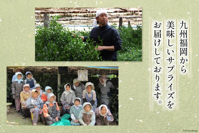 茶 伝統本玉露 50g×2袋 [ベネフィス 福岡県 筑紫野市 21760994] お茶 緑茶 日本茶 玉露 本玉露 八女茶 煎茶 茶葉 星野茶 奥八女星野村