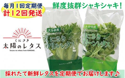 y啪sz͂Iɂz̃^X/v12񔭑_2121R