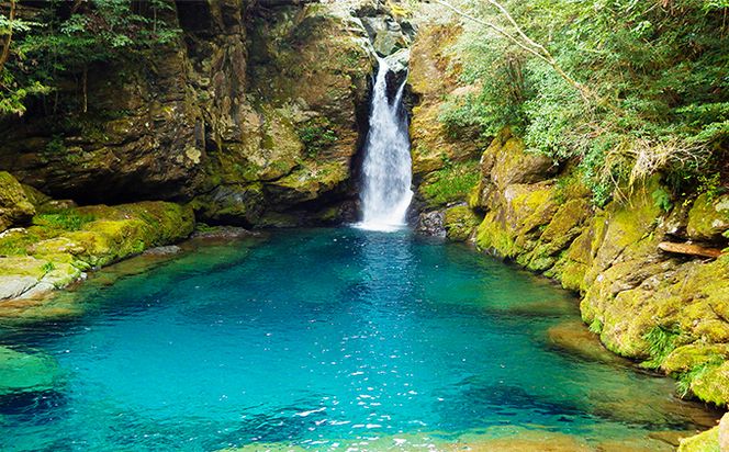 にこ淵 ブレンドコーヒー 5袋×8箱