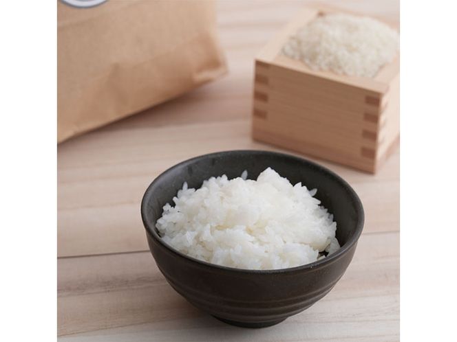 栃木県コシヒカリ 「桜花爛漫」 玄米 5kg 【ご飯 お米 コメ コシヒカリ 栃木県産 さくら市産】 ※北海道・沖縄・離島への配送不可 ※着日指定不可◇