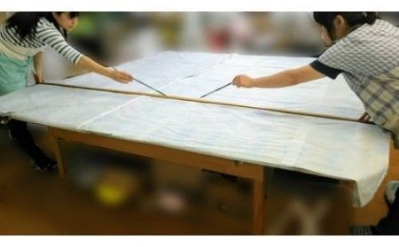 フランス産ホワイトダック90%羽毛布団　シングルサイズ（60サテン）　色：21780ブルー