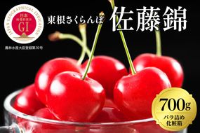 2025年GI東根さくらんぼ「佐藤錦」700gバラ詰め(350g×2ﾊﾟｯｸ)バラ詰め 東根農産センター提供 山形県 東根市 hi027-170-2