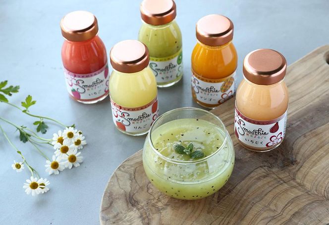 フルーツスムージー　10本セット　T146