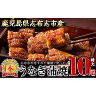 うなぎの大楠＜特大＞10尾セット計1.7kg(170g×10) g4-017