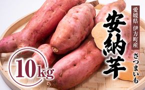 【先行受付】高糖度で人気定番！安納芋10kg ｜ さつまいも サツマイモ 焼き芋 やきいも 産地直送 スイート　※2024年10月中旬～2025年3月中旬頃まで順次発送予定