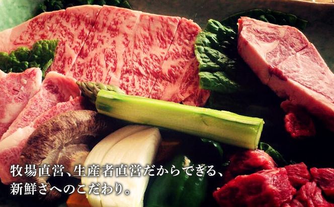 お食事券 北海道 天野ファミリーファーム (30,000円分)【牧場直営・炭火焼肉レストラン】 BS019