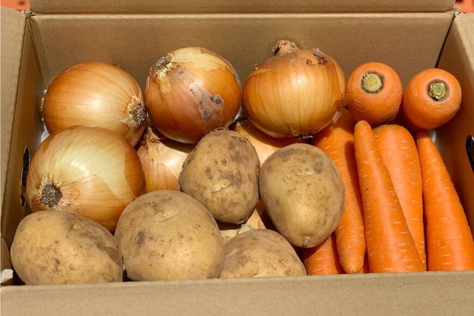 【令和8年度出荷分】AF156 新じゃがいも・新玉ねぎ・春人参のよくばりセット