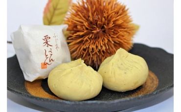 405. 秋冬の銘菓「栗きんとん」10個入　栗金・和菓子・秋の味覚「藤乃屋」