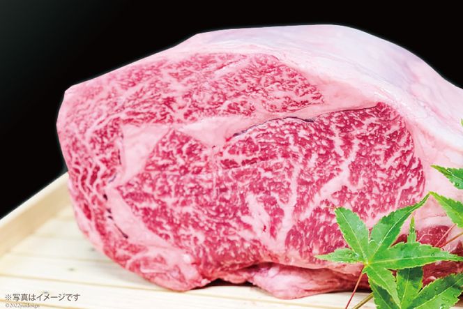 AG117長崎和牛 A5ランク 牛ロースステーキ 600g（200g×3枚）