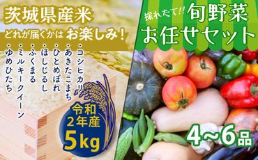 【数量限定】＜令和２年産米＞茨城県産米と旬野菜のセット