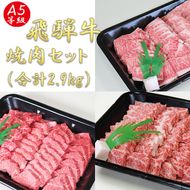 AB-46 A5飛騨牛焼き肉セット（合計2.9kg）