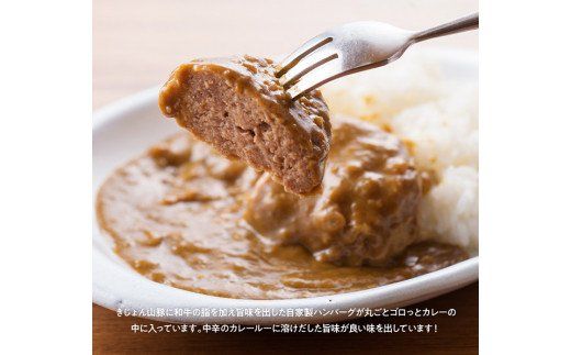 ハンバーグ 山豚ハンバーグカレー１８０ｇ×９袋 ⅢⅥ [G7506]