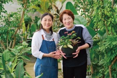 yꌧ_szIWiAWϗtA@STCYy񂹐A CeA rO  O[ A  tbVz (H086104)