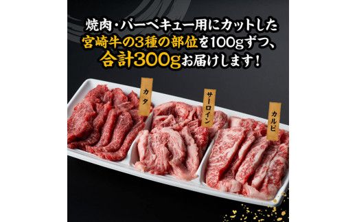 宮崎牛 焼肉 食べ比べ 3種盛 300g【 肉 牛肉 国産 宮崎県産 黒毛和牛 和牛 焼肉 バーベキュー 】[D11416]