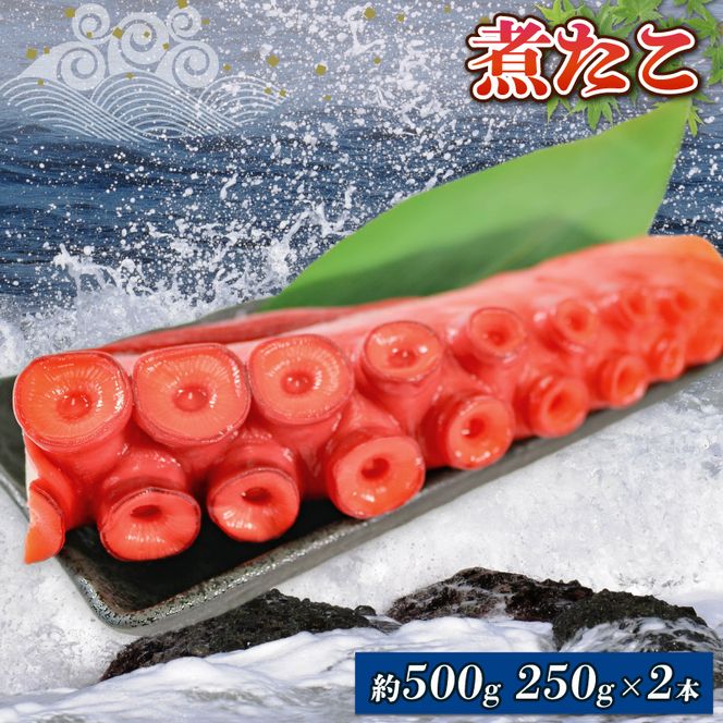 y茧Dnsz̉w肭 ς 2{ymichinoeki011z