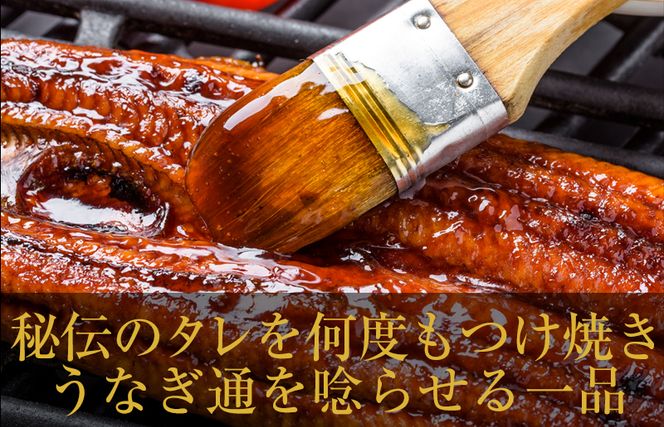 099H2639 国産うなぎ ハーフカット 合計 200g 秘伝のたれ 蒲焼 訳あり 鰻 ウナギ 無頭 炭火焼き 備長炭 手焼き