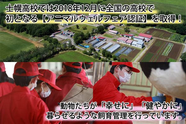 【CF】北海道 士幌高校 アイスクリーム バニラ 100ml 8個 セット アイス ミルク スイーツ カップアイス 贈り物 お取り寄せ 詰め合わせ 詰合せ 送料無料 十勝 士幌町 クラウドファンディング【H03】