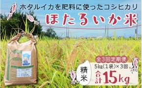 【新米】ほたるいか米（精米５kg）×3回 計15kg【3ヶ月定期便】