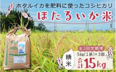 【訳あり】ほたるいか米（精米５kg）×3回 計15kg【3ヶ月定期便】