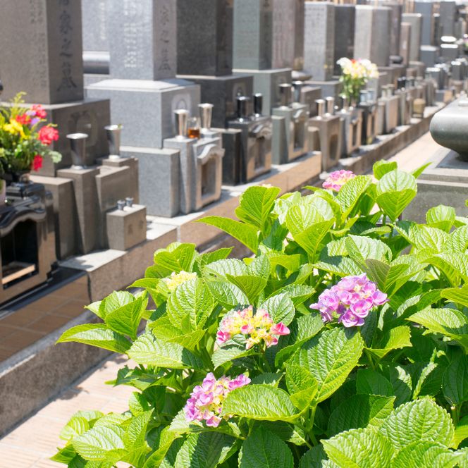 BC-1 【垂井町限定】お墓清掃サービス（1回分）